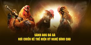 AOG Đá Gà U888 - Địa Chỉ Cá Cược Chiến Kê Không Thể Bỏ Lỡ