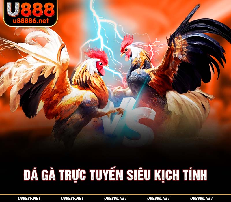 Đá gà trực tuyến siêu kịch tính