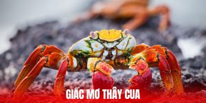 Giấc Mơ Thấy Cua Với Những Đáp Án Chuẩn Từ Chuyên Gia U888