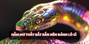 Nằm mơ thấy bắt rắn nên đánh lô gì và những con số may mắn
