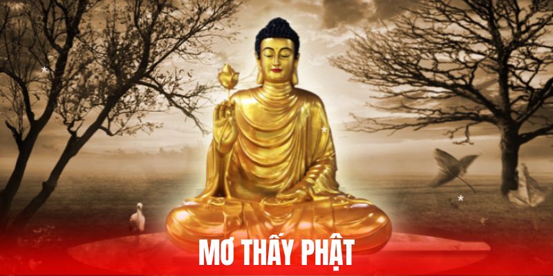 Giấc mộng luôn là thứ gì đó thần bí và chứa nhiều bí ẩn. Bạn có bao giờ nằm mơ thấy Phật chưa? Mơ thấy Phật là điềm gì, đánh con số nào thắng lớn cùng theo dõi nhé!